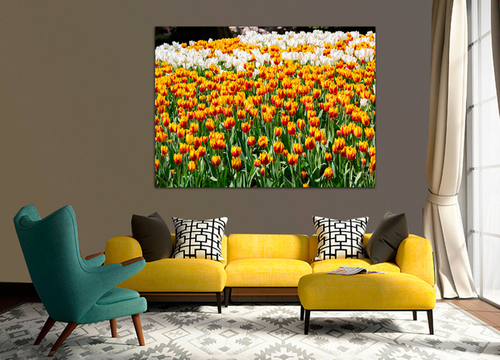 Tableau champ de tulipees jaunes