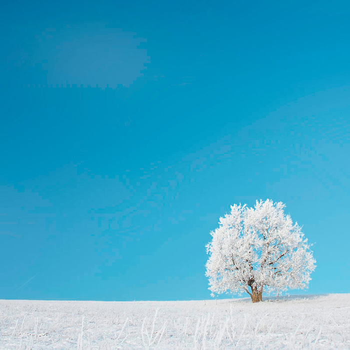 Tableau arbre neigeux