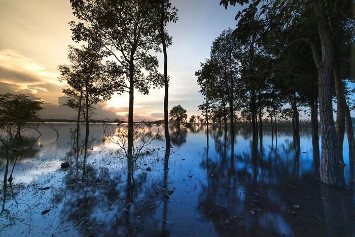 Tableau coucher de soleil dans la nature