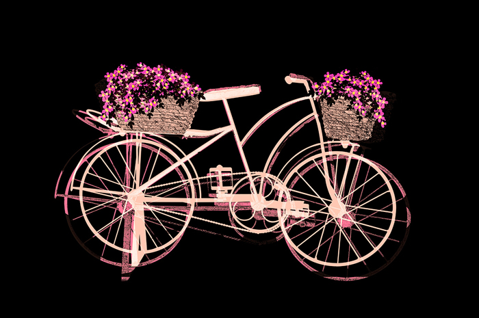 Tableau vélo noir et rose