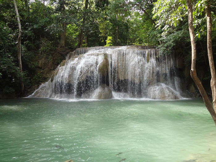 Tableau cascade dans la forêt