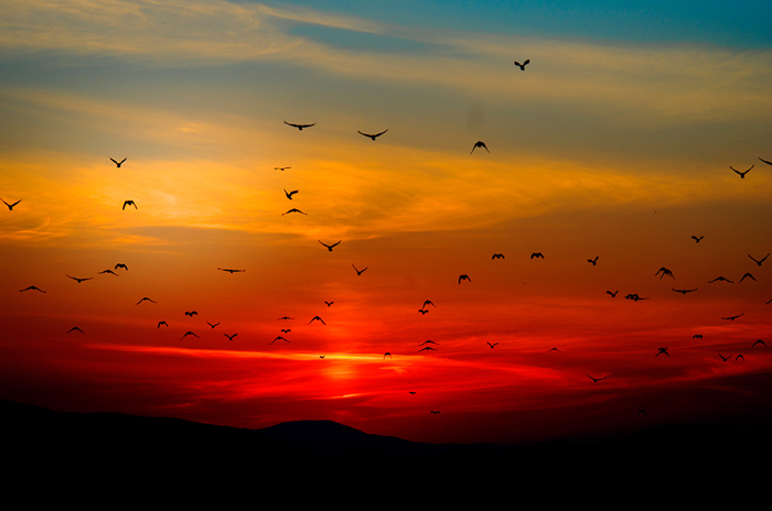 Tableau ciel rouge