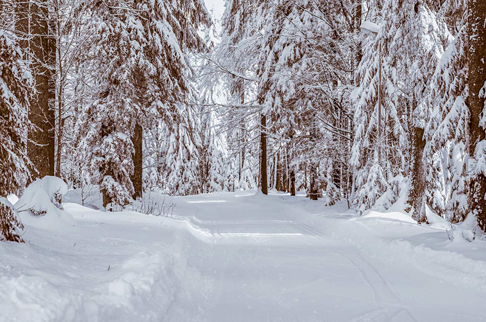 Tableau paysage neigeux